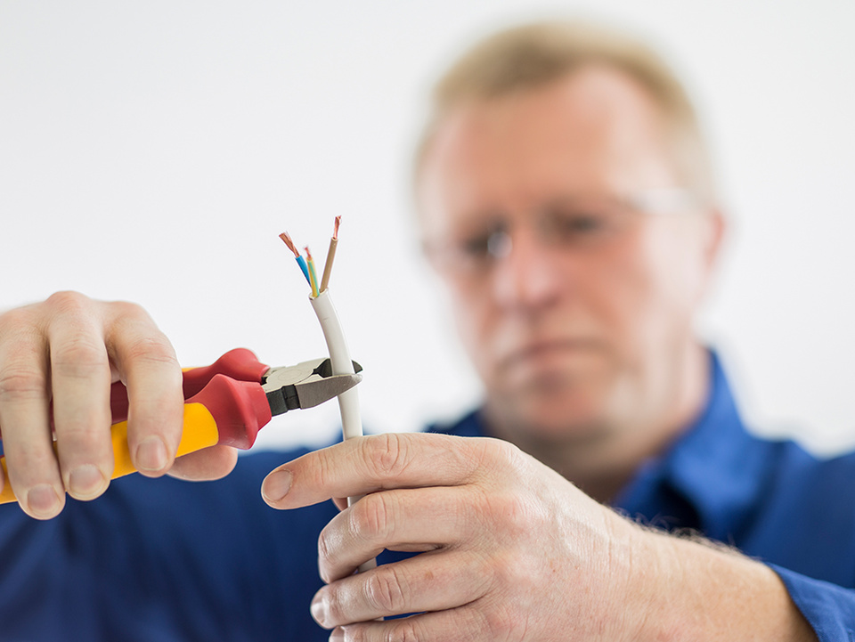C F021729 bei Elektro Schäffner in Ritteburg